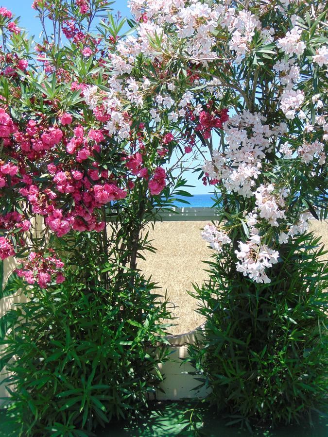 Nirvana Beach Hotel Теологос Экстерьер фото